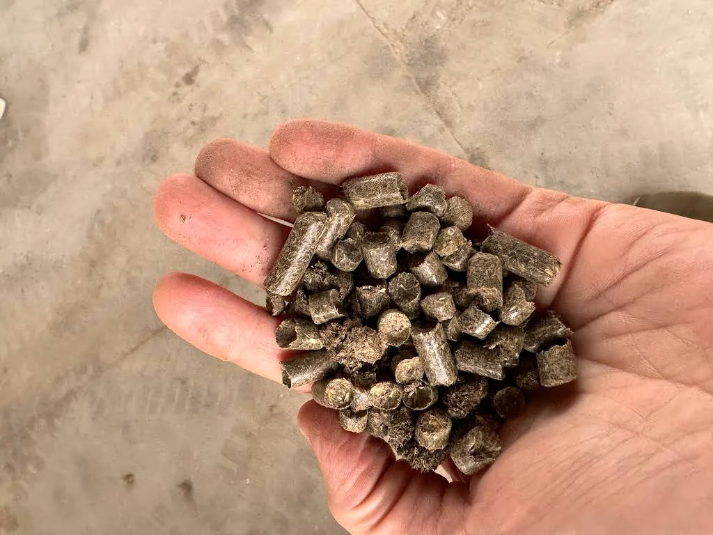 Pellet ze słomy – Pellet ze słomy?